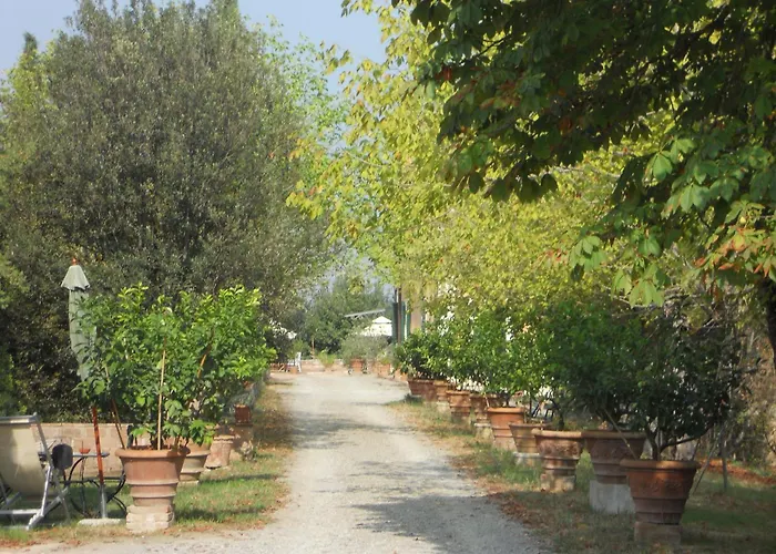 Tenuta Il Tresto