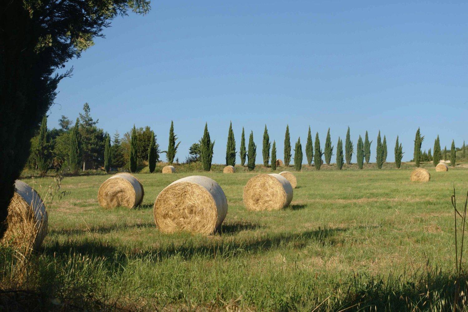 Séjour à la campagne Tenuta Il Tresto