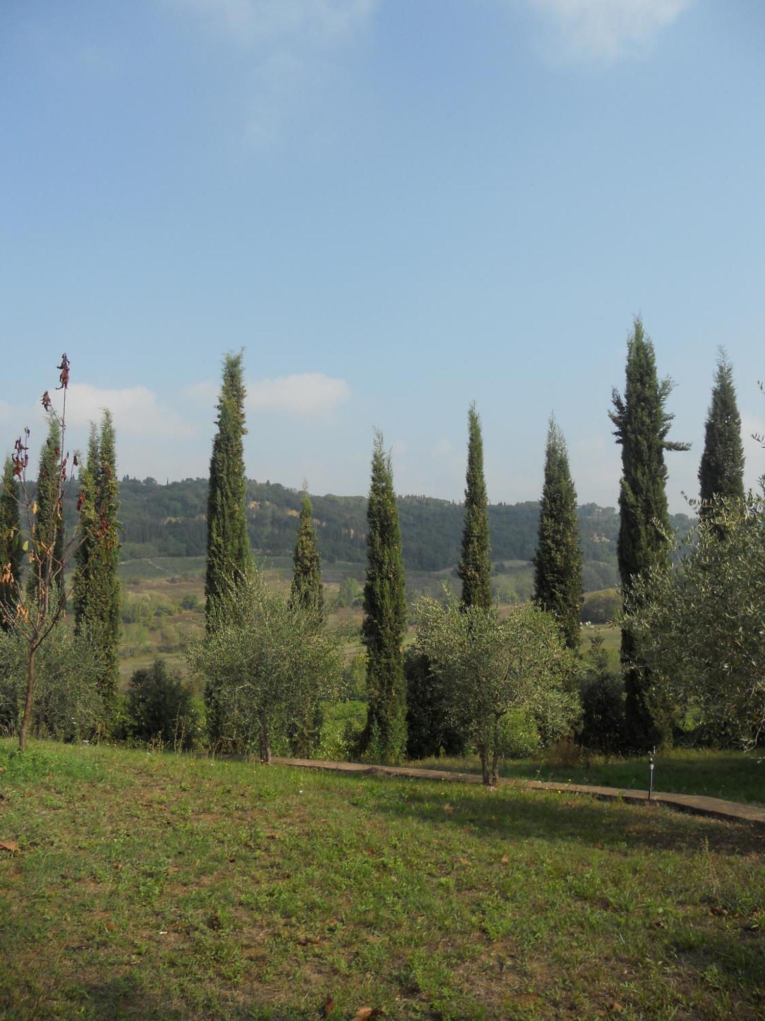 Tenuta Il Tresto Poggibonsi