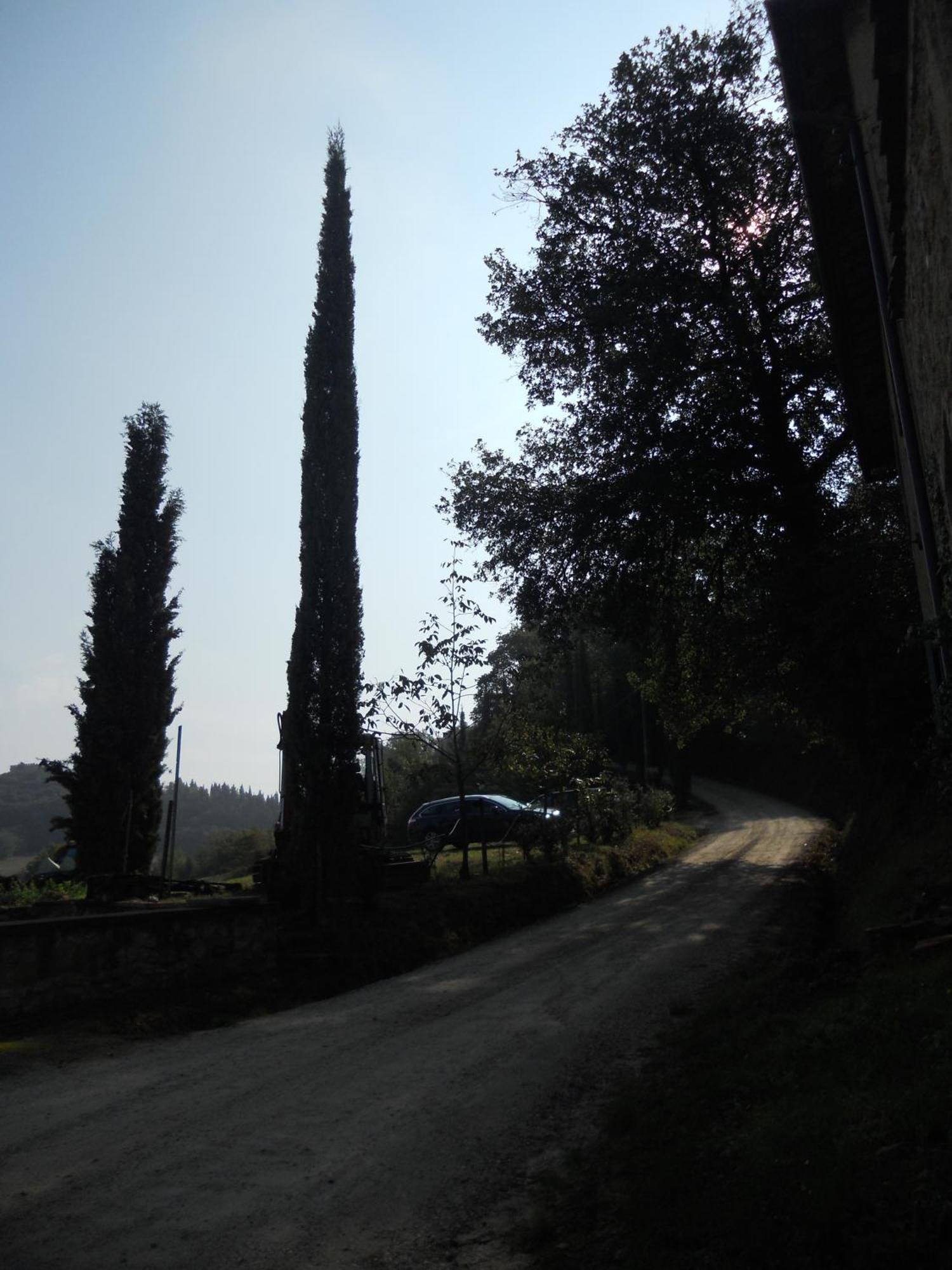Séjour à la campagne Tenuta Il Tresto Poggibonsi