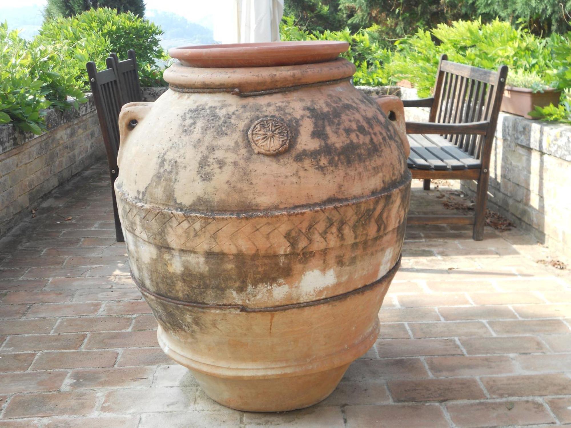 Tenuta Il Tresto