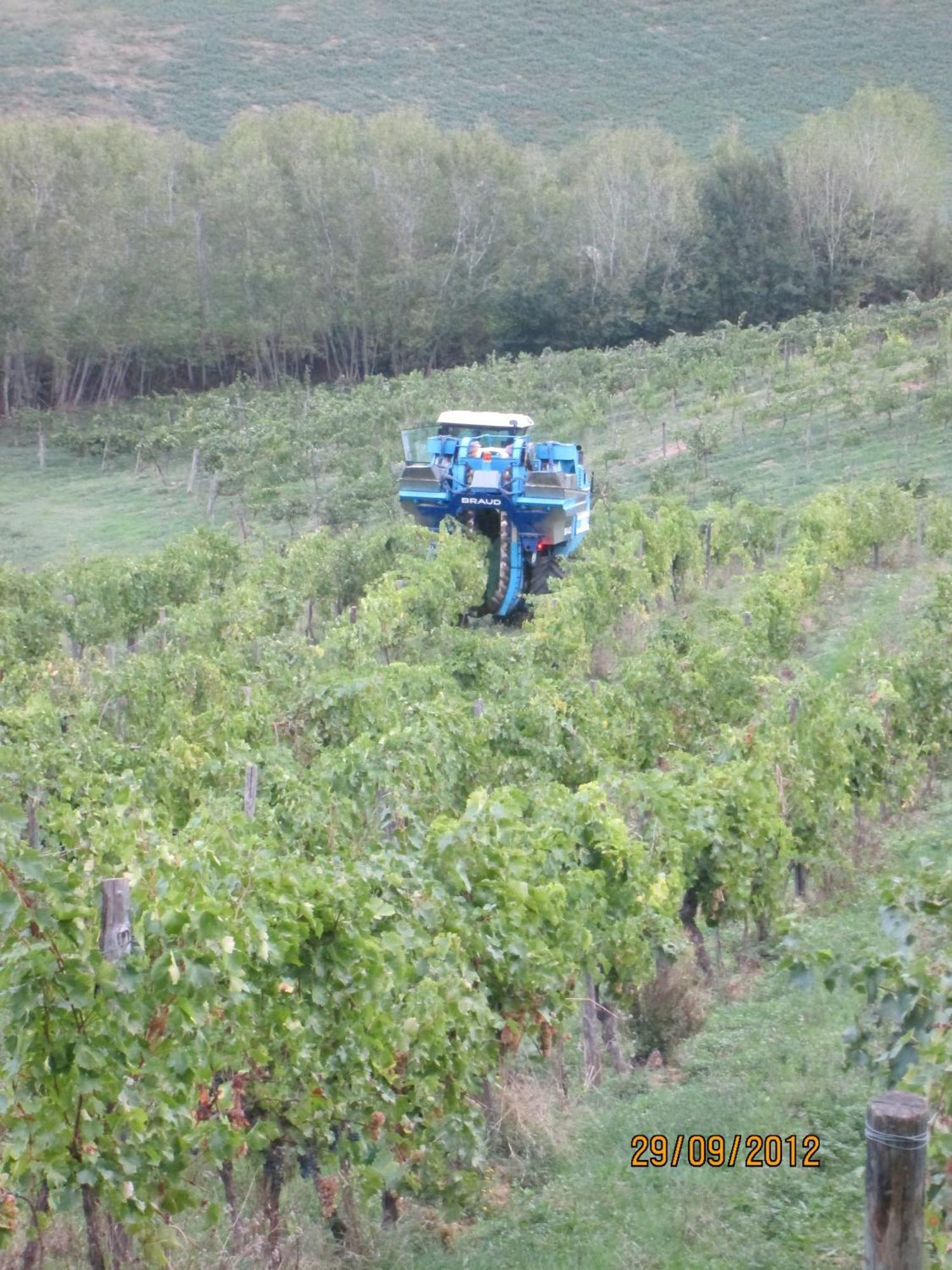 Tenuta Il Tresto Poggibonsi