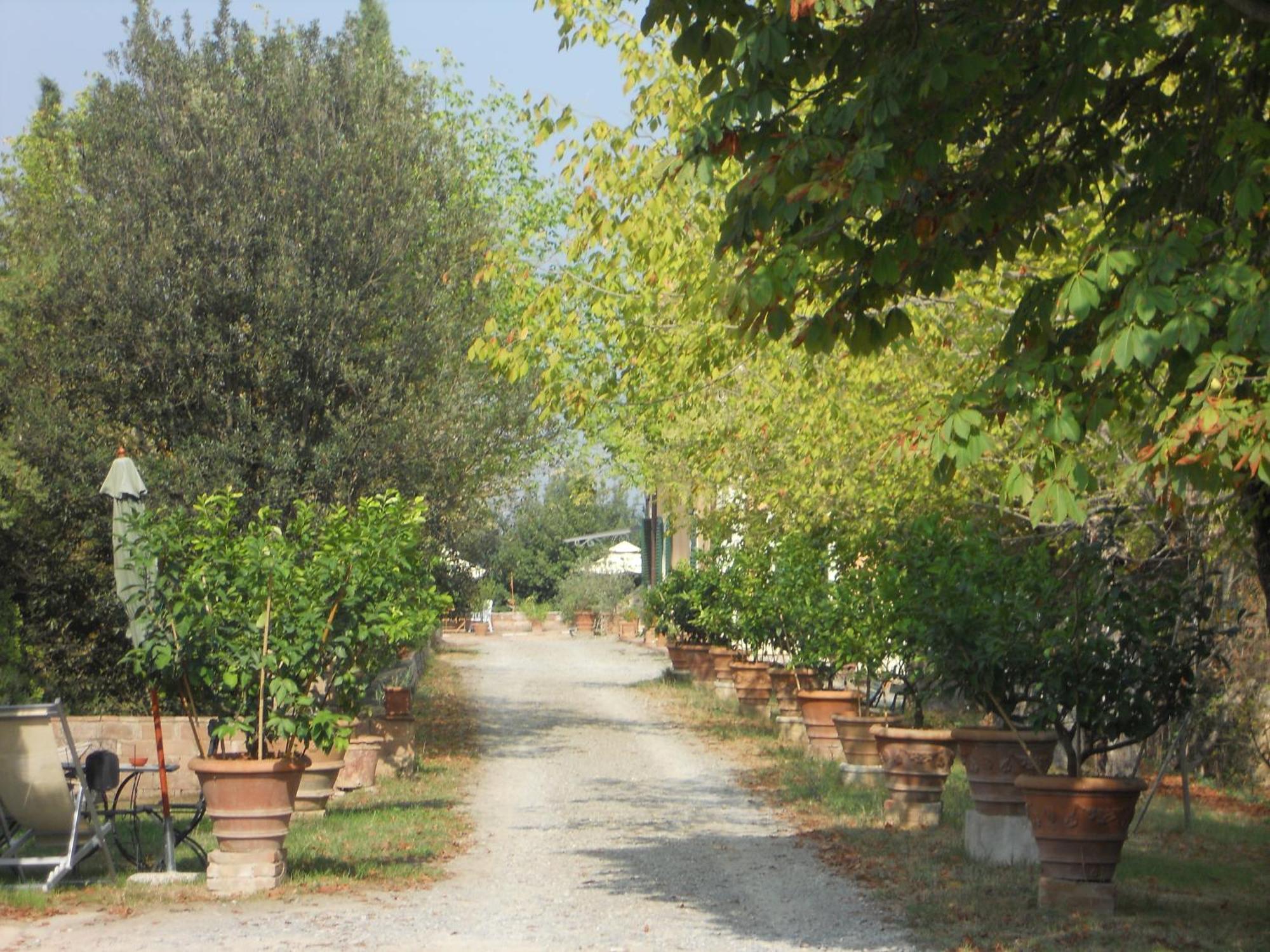 Séjour à la campagne Tenuta Il Tresto