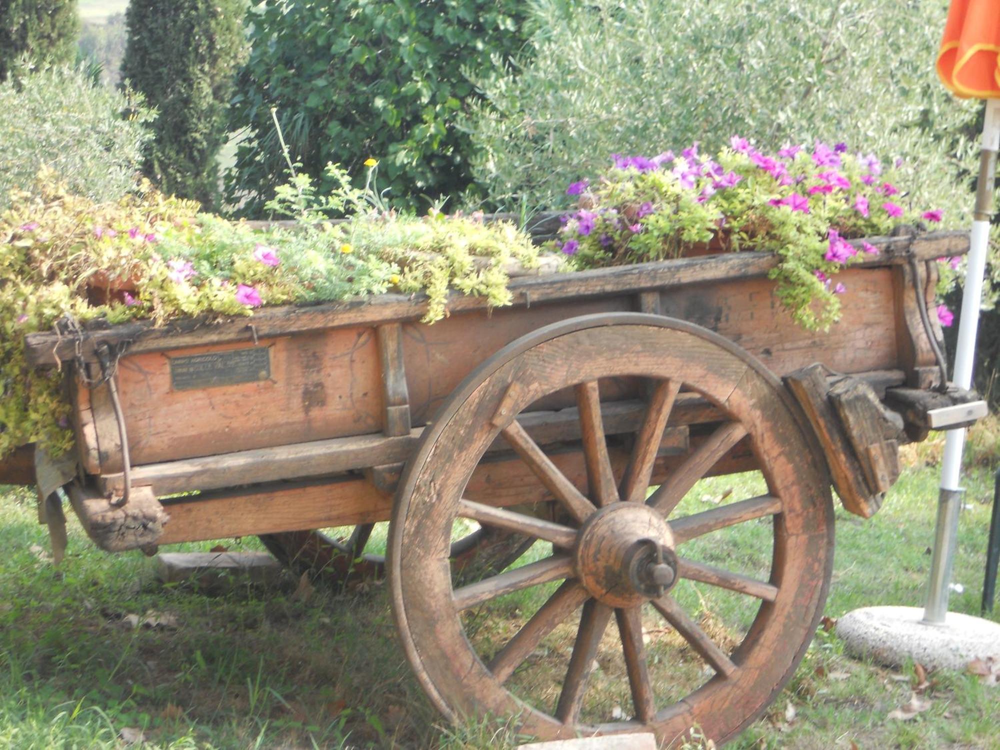 Séjour à la campagne Tenuta Il Tresto