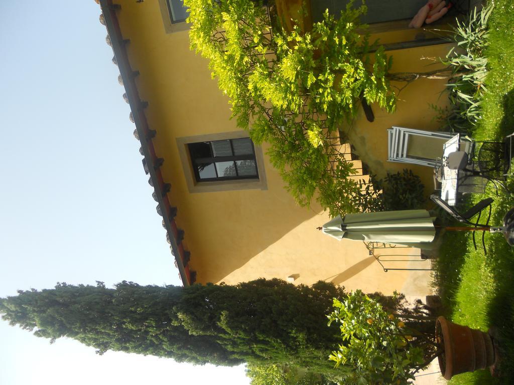 Tenuta Il Tresto