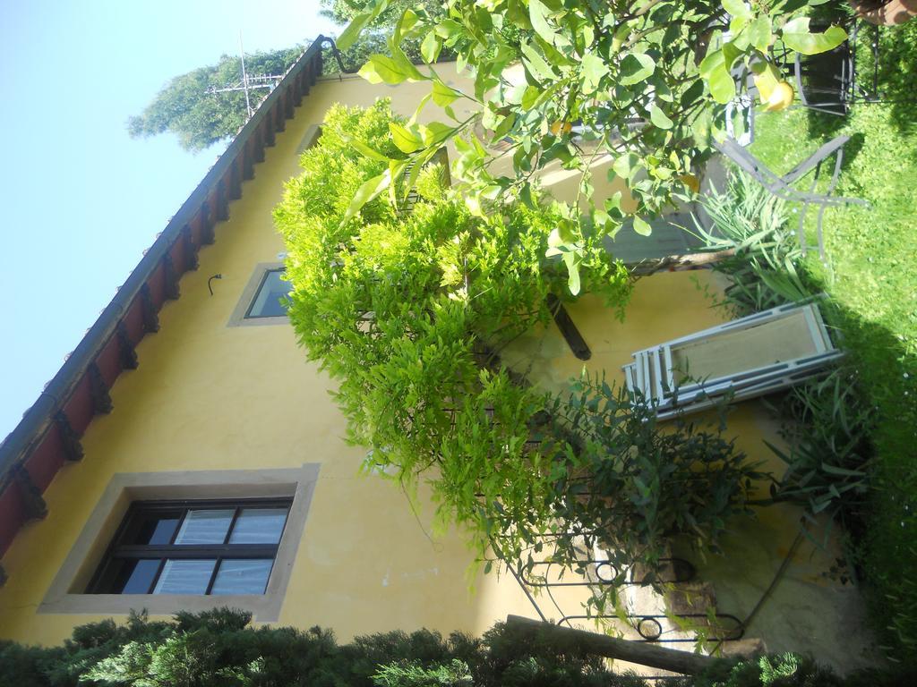 Tenuta Il Tresto Poggibonsi