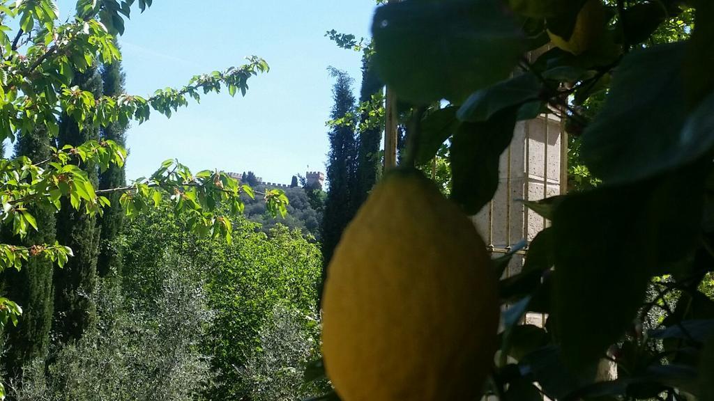 Tenuta Il Tresto * Poggibonsi
