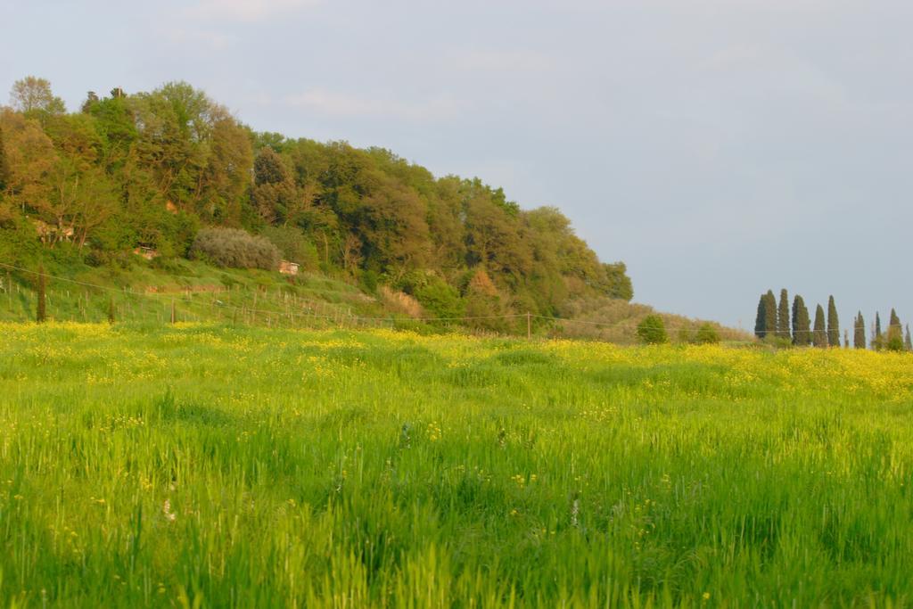 Tenuta Il Tresto Séjour à la campagne Poggibonsi