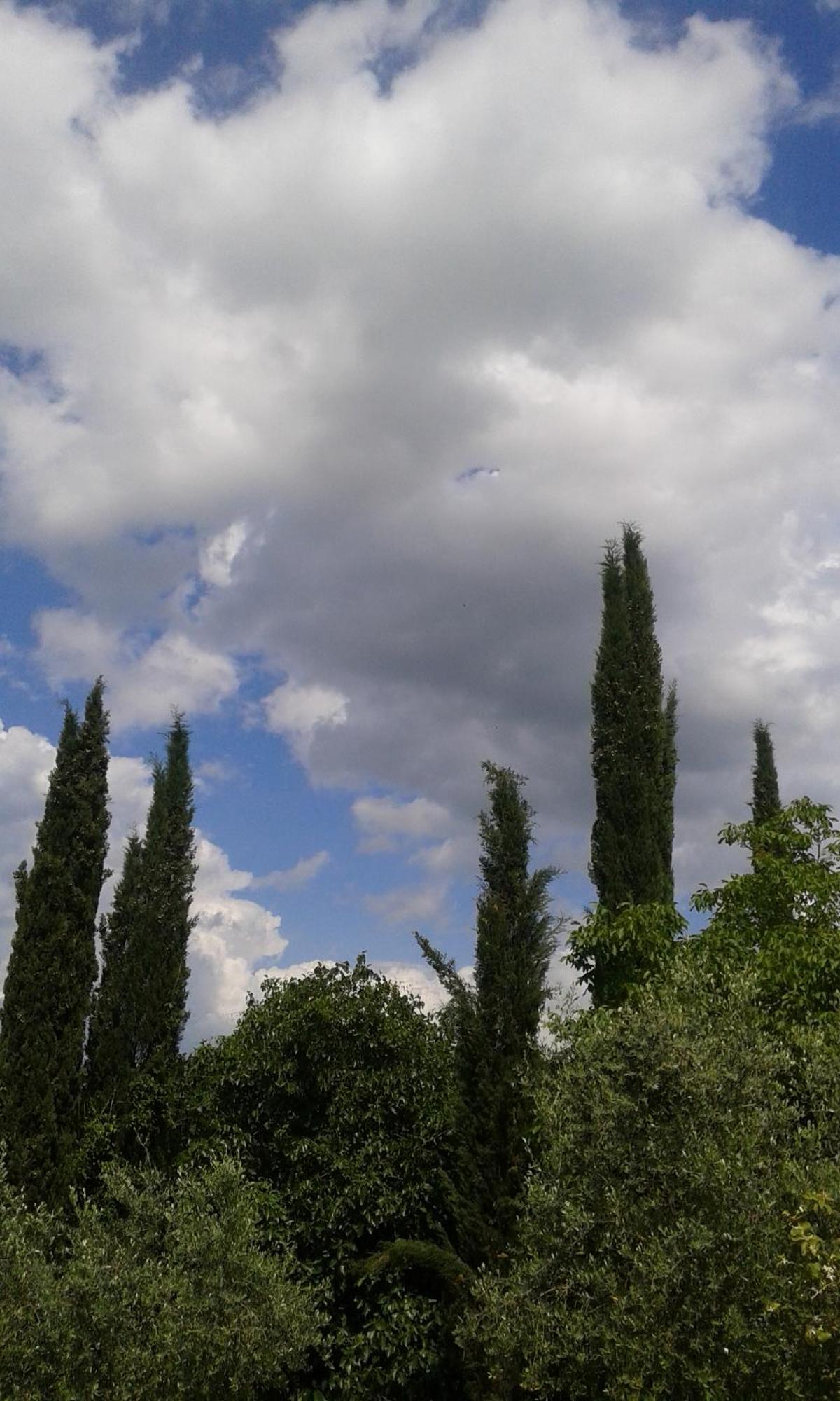 Tenuta Il Tresto * Poggibonsi