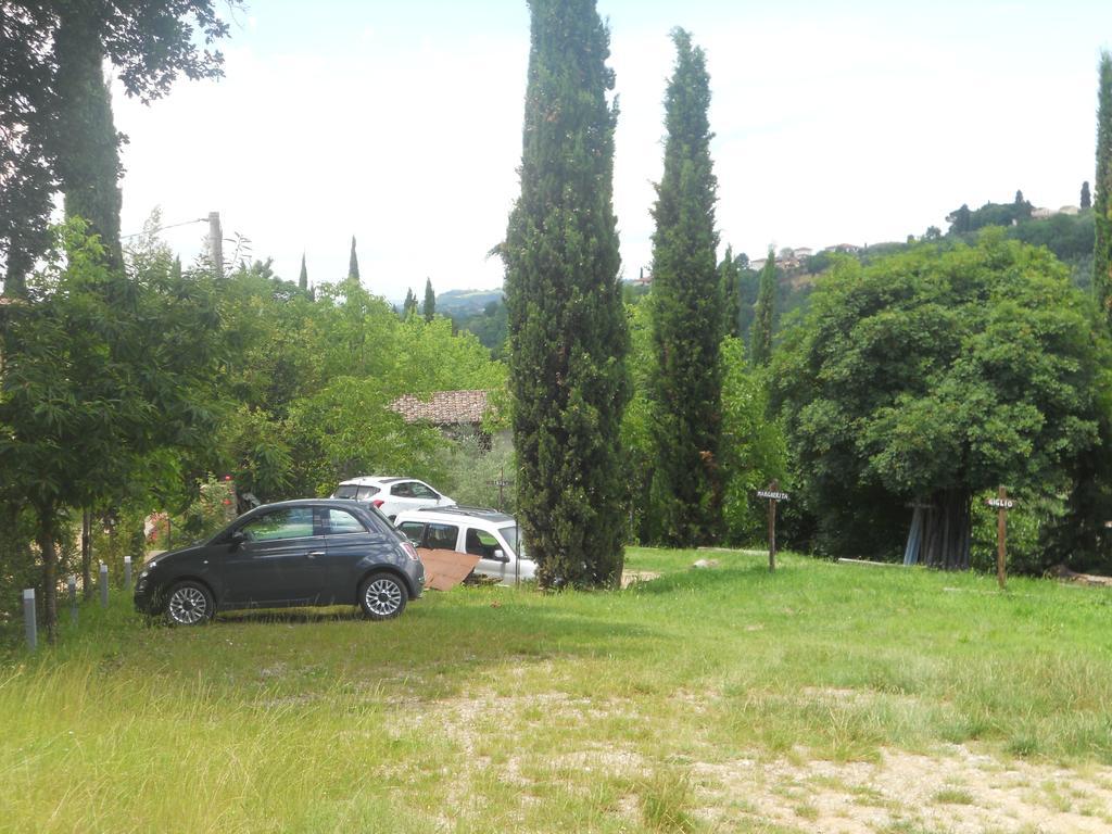 Séjour à la campagne Tenuta Il Tresto *